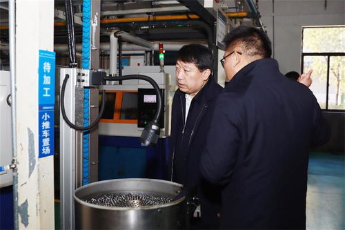 张君毅在怀宁县调研时强调 全力以赴冲刺全年目标任务 以县域经济稳步增长支撑全市更好发展